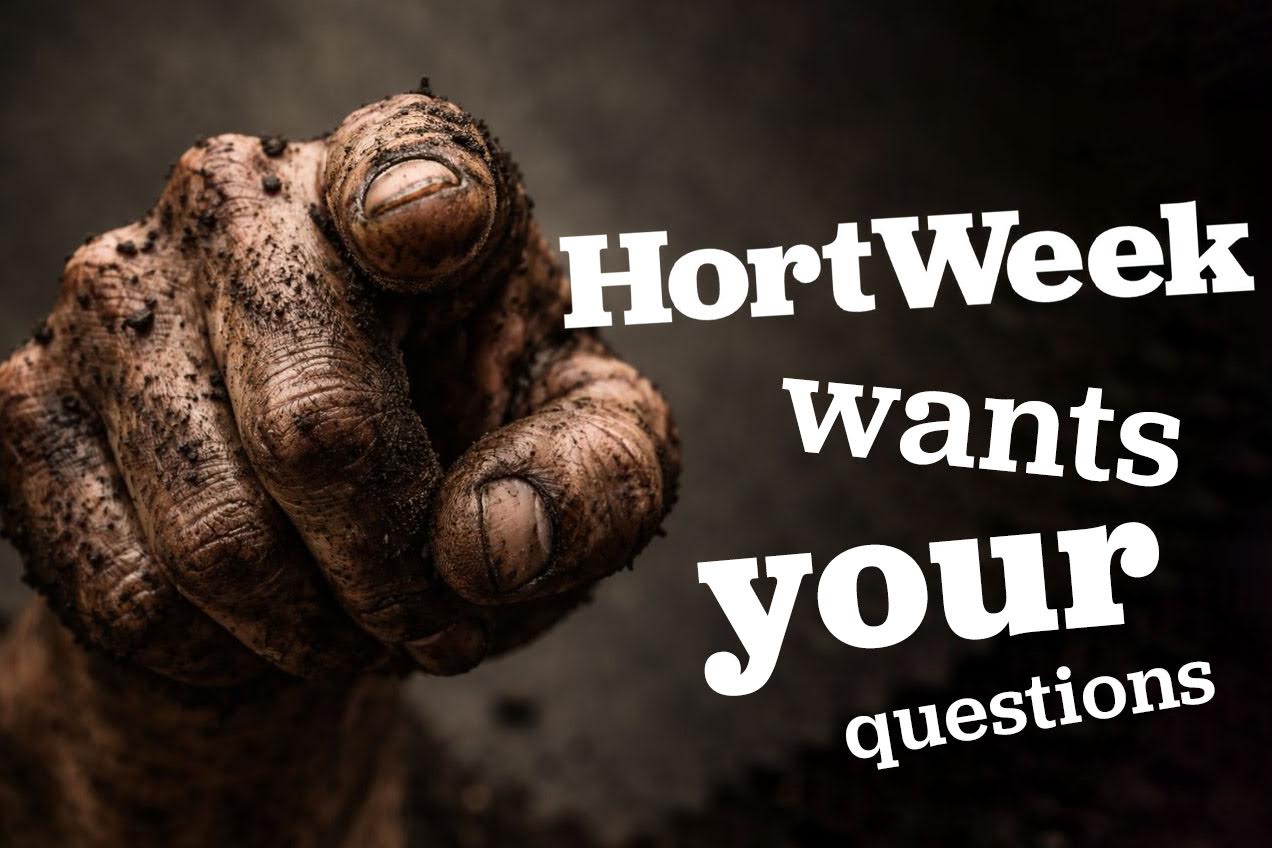 HW